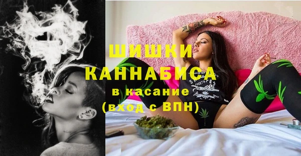 шишки Усолье-Сибирское